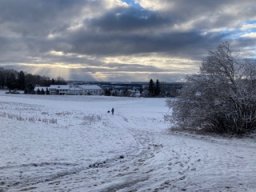 Das Naherholungsgebiet